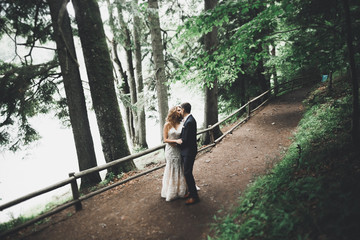 Fototapeta premium Romantic, fairytale, happy newlywed couple hugging and kissing in a park, trees in background