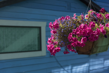 Low angle view of flower box, Fisherman's Wharf, Inner Harbour, Victoria, Vancouver Island, British Columbia, Canada