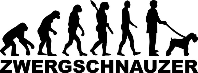 Miniature Schnauzer evolution word german