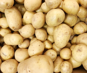 Ripe potatoes background