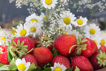 strawberry in a clay dish flowers Gypsophila daisy on a dark gray background close-up.