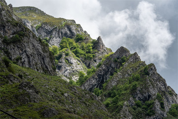 Fototapeta na wymiar Paysage dans les Picos de Europa en Espagne