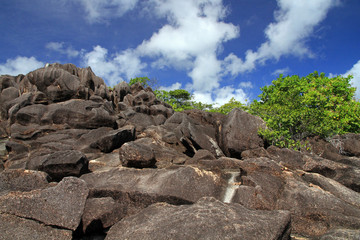 Interior of Curieuse Island, Seychelles