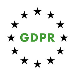 GDPR flat icon