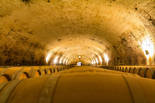 Chilean Wine Barrels