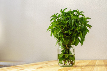 Fresh mint in a vase on a wooden background