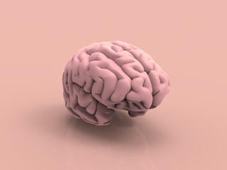 Human Brain Pastel 3D Render
