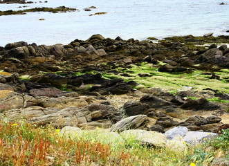côte sauvage,à l'île d'yeu