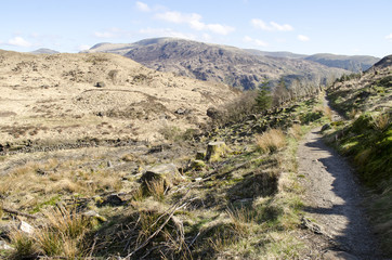 Hiking Path through Countryside