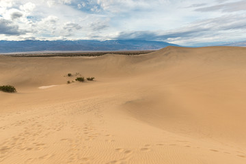 Mesquite Flat Sand Dunes, Death Valley National Park