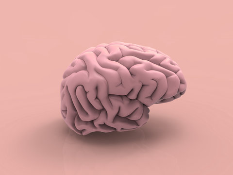 Human Brain Pastel 3D Render