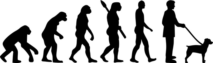 Brittany Spaniel evolution