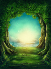 Obraz premium Ciemny magiczny las