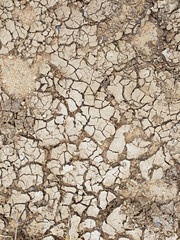 ausgetrockneter Boden