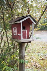 Autumn birdhouse in Arkansas 