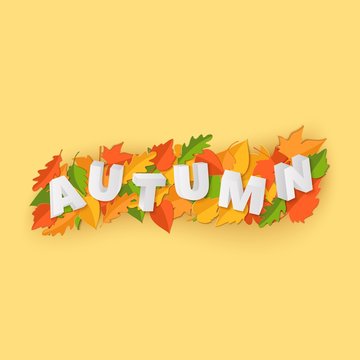 Autumnfall Images – Browse 55 Stock Photos, Vectors, and Video | Adobe