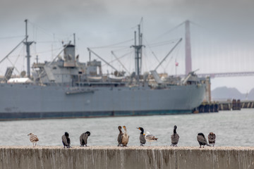 War Ship