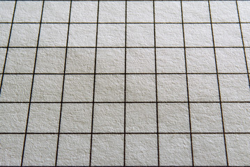 A sheet of paper in a close-up cage.