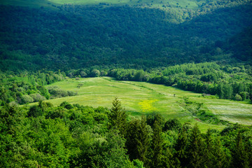 Marvelous landscape with forest, Armenia