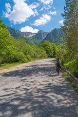 Obraz premium National Park of Abruzzo, Lazio and Molise (Italy) - The spring in the italian mountain natural reserve, with landscapes, wild animals, little old towns, the Barrea Lake and Camosciara park