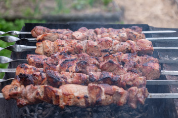 cooking barbecue pork on the coals