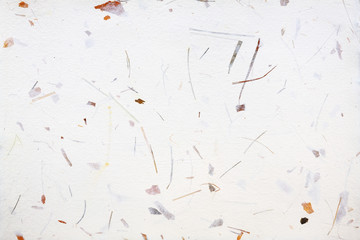 White handmade paper with fragments of grass and other plants with mockup