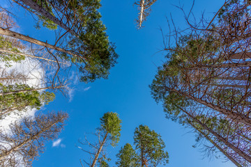 Yosemite