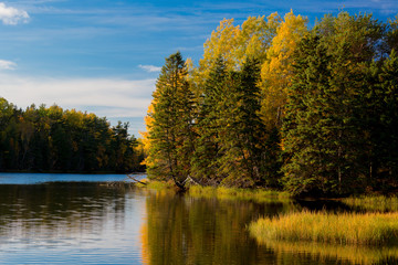 Autumn along a slow moving river.