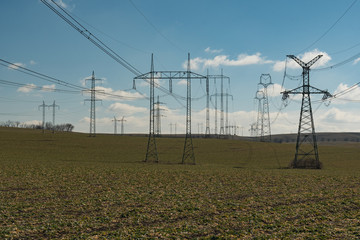 Field with high voltage line, Czech Republic