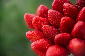 Lots of ripe red strawberries next to each other on a background of blurred green background