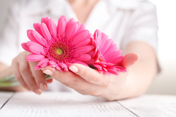 Female medical care concept, pink flower gerbera in hand