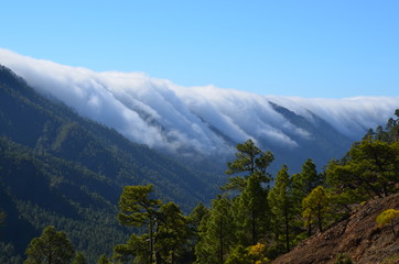 Paisajes de La Palma