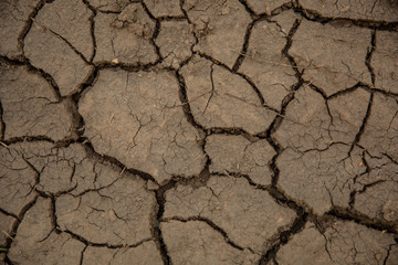 Broun cracked earth background texture