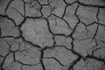 Gray cracked earth background texture