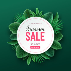 Beautiful summer sale background with palm leaves. Vector illustration.