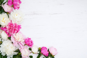 White and pink peonies on white wooden background. Holiday background, copy space, top view.