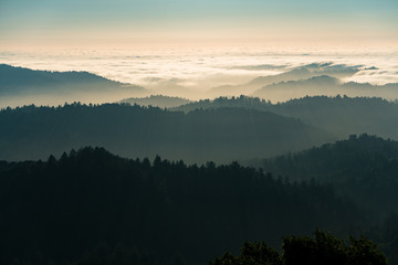 Fog and clouds rolling in over the hills of Russian Ridge in the Bay Area - 208961509