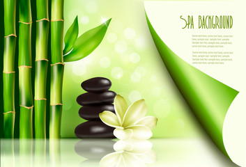 Spa background with bamboo and stones. Vector illustration.