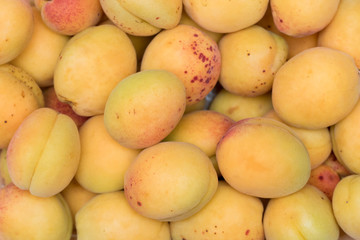 fresh apricots for background closeup