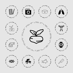 Collection of 13 healthy filled and outline icons