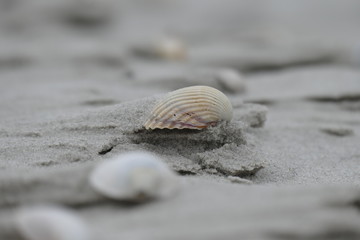 beach at Hallig Hooge