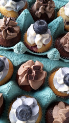 Mini Cupcakes.27.05.2016