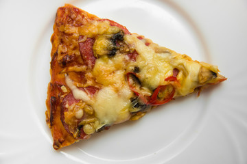 pepperoni pizza on a white plate