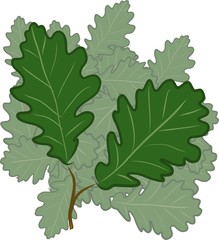 3FD19E8B-7EDC-4C02-A45E-730A674A3C22