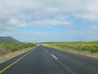 South Africa, Garden Route - P1070957_opt