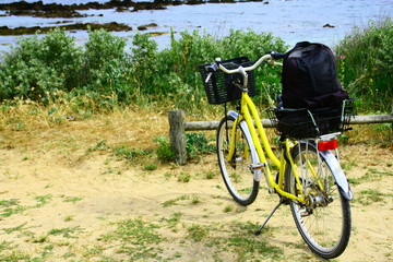 Fototapeta na wymiar promenade à véloà l'île d'yeu