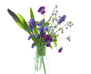 Backlit Purple Flower