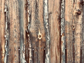 Natural wood, knot texture background