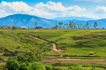 Rice field. Northern Laos, Xiangkhoang province.