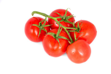 Tomato branch isolated on white background